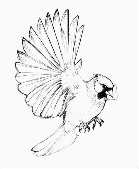 printable black and white sketches.